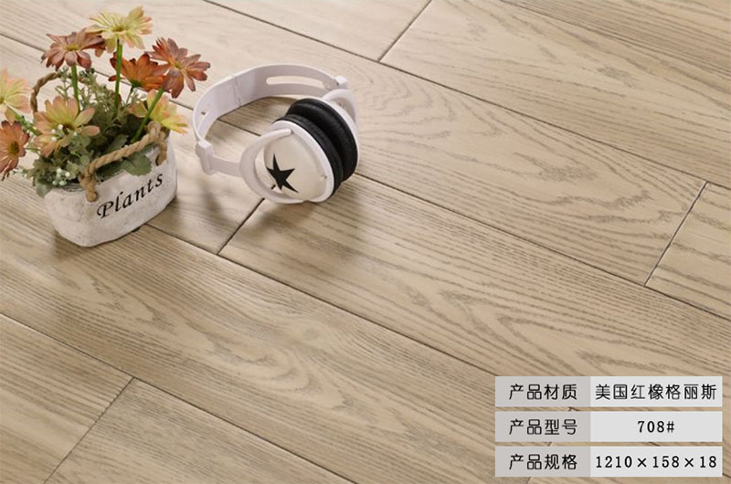 美國紅橡