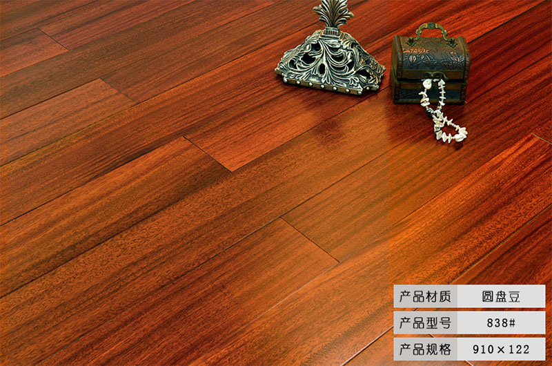 圓盤(pán)豆