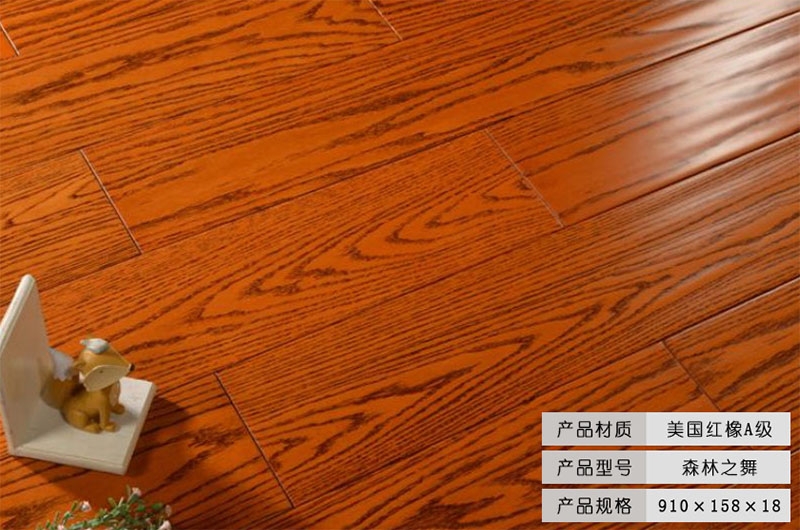 美國紅橡