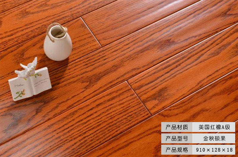 美國紅橡