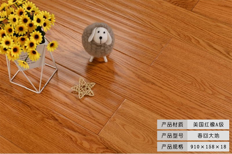 美國紅橡