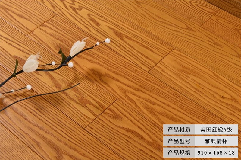 美國紅橡