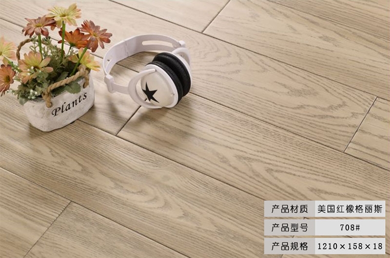 美國紅橡