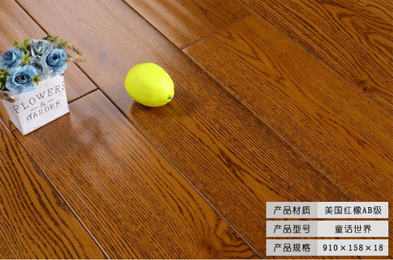 美國紅橡