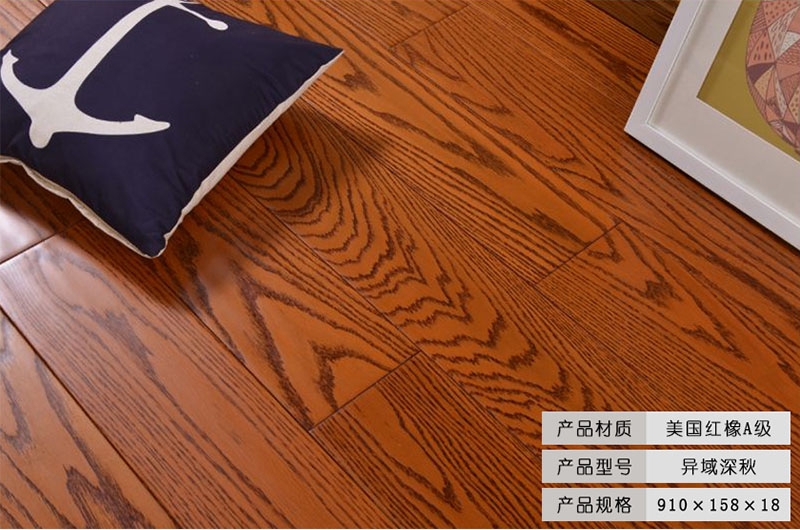 美國紅橡