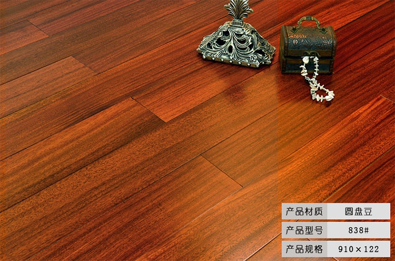 圓盤豆