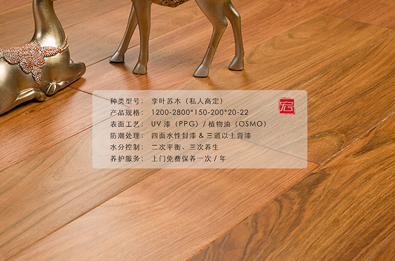 孿葉蘇木