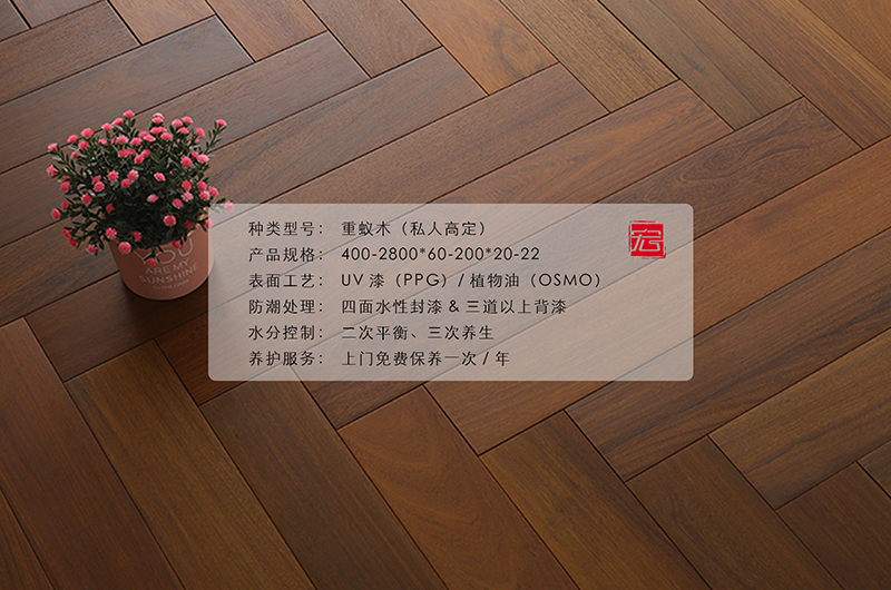 重蟻木
