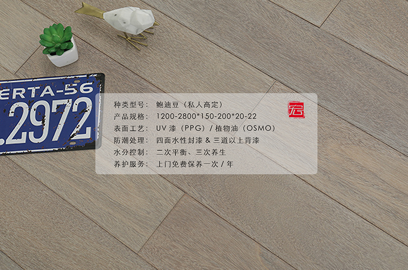 鮑迪豆