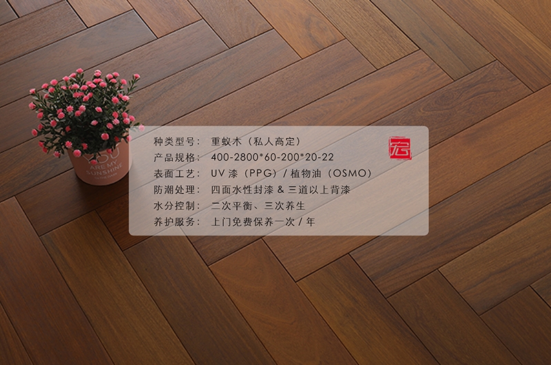 重蟻木